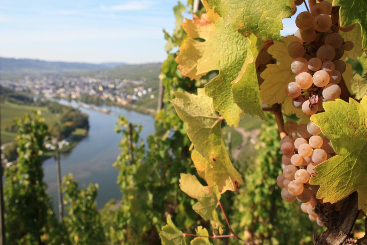 Weingut Markus Junglen Kröv Buitenkant foto